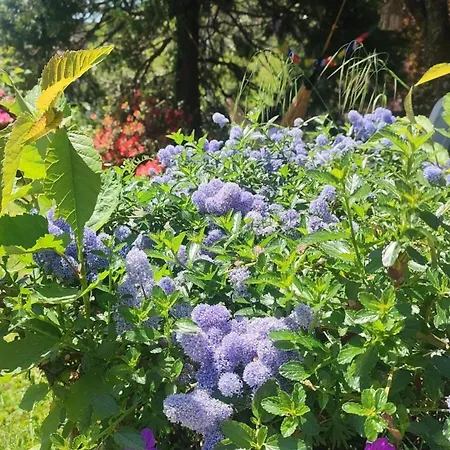 Joli Rez De Jardin Avec Piscine *