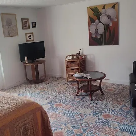 Joli Rez De Jardin Avec Piscine Apartment
