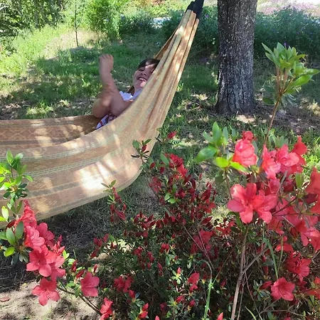 Apartman Joli Rez De Jardin Avec Piscine